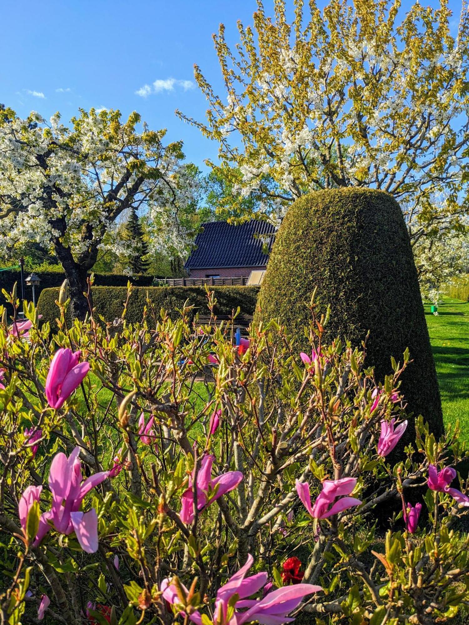 Villa Häuschen im Grünen Jornstorf Exterior foto